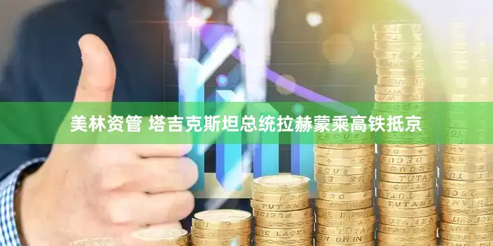 美林资管 塔吉克斯坦总统拉赫蒙乘高铁抵京