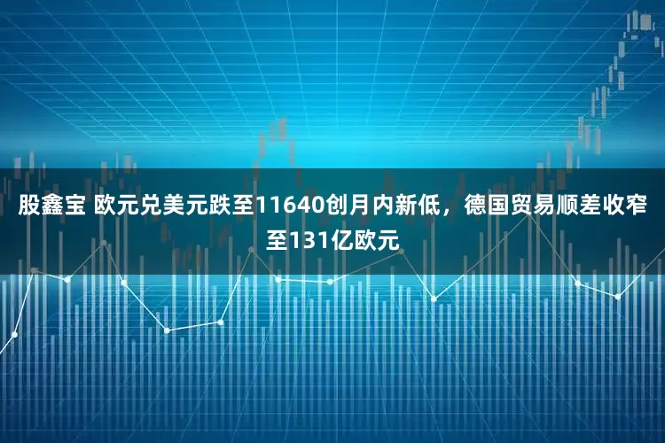 股鑫宝 欧元兑美元跌至11640创月内新低，德国贸易顺差收窄至131亿欧元